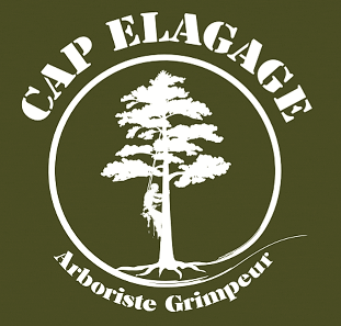 société d'élagage et entretien de jardins et de palmiers en Agde CAP ELAGAGE