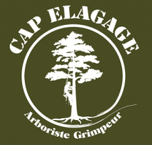 société d'élagage et entretien de jardins et de palmiers en Agde CAP ELAGAGE